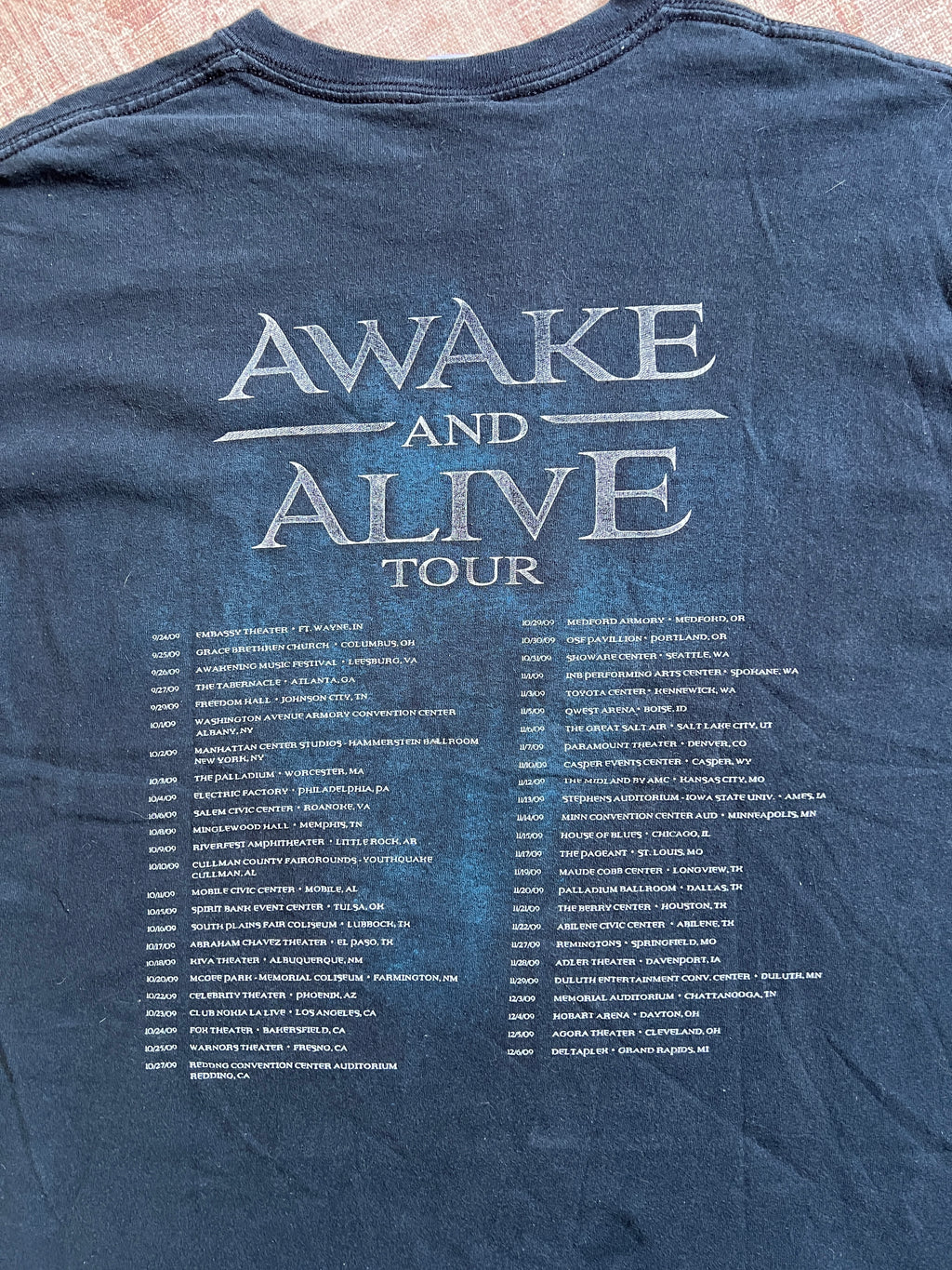 Skillet 2009 North America Tour Tee Shirt