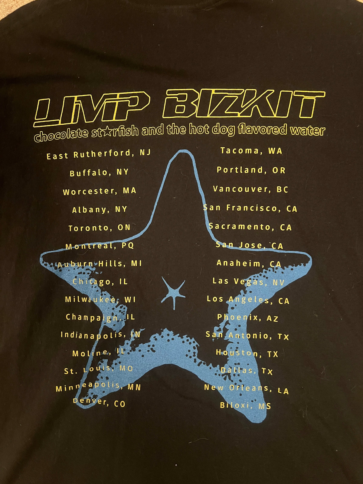 Bootleg Limp Bizkit 2000 Tour Tee Shirt