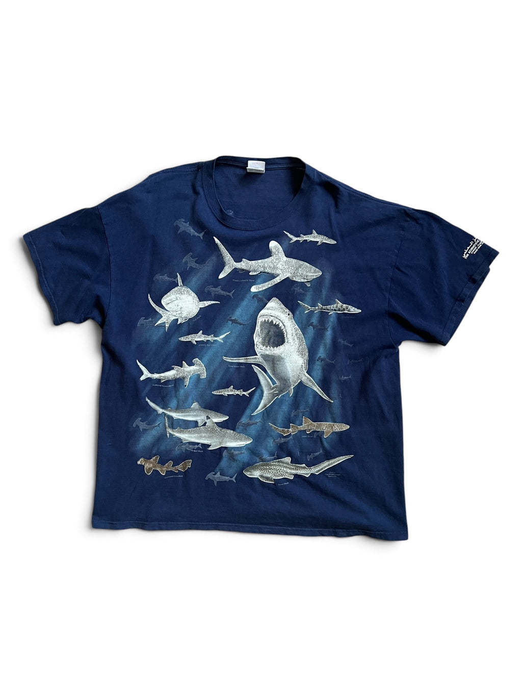 Scientific Center Shark Tee Shirt