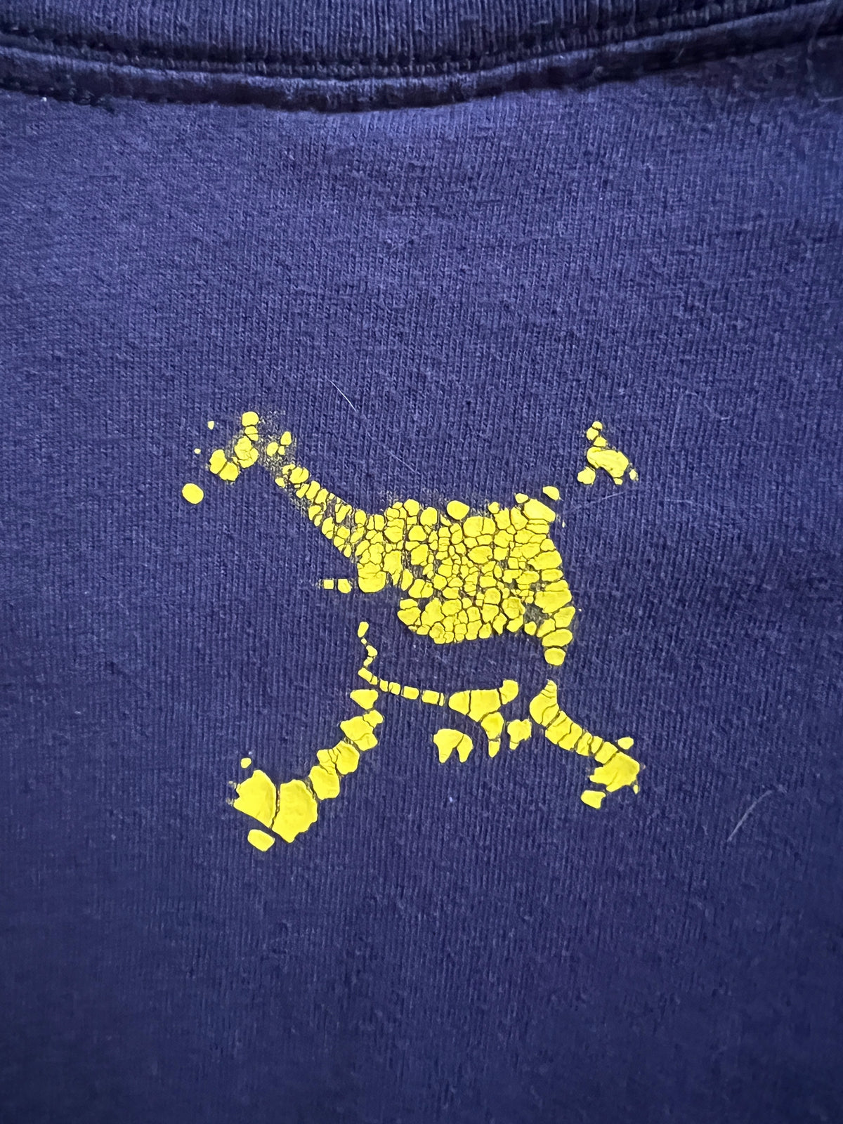 Oakley Hologram Emblem Tee Shirt