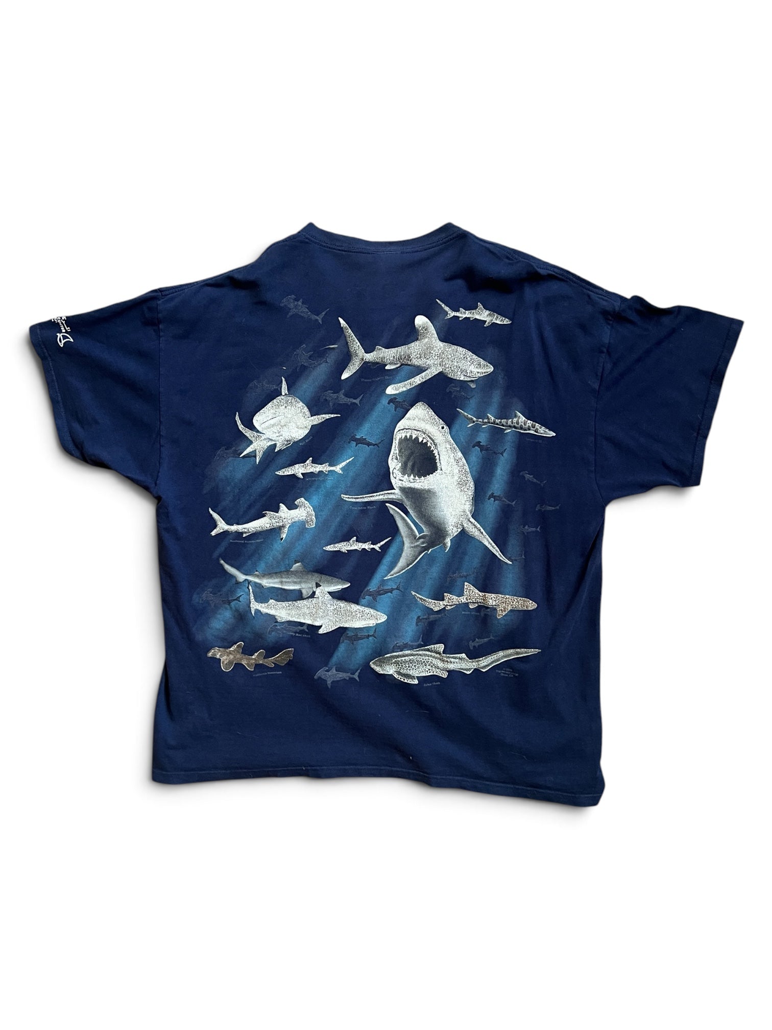 Scientific Center Shark Tee Shirt