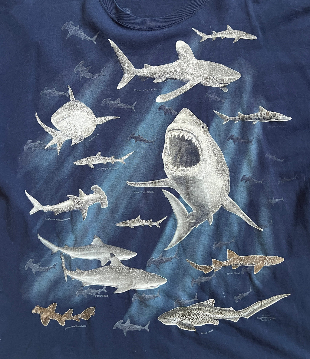 Scientific Center Shark Tee Shirt