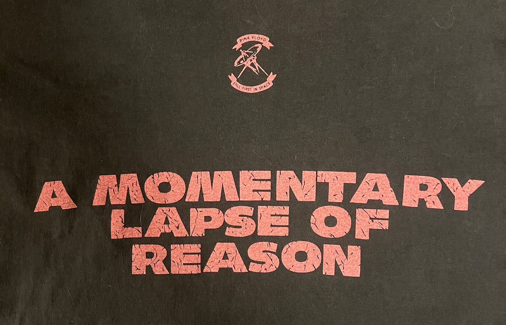 Bootleg Pink Floyd A Momentary Lapse Of Reason Tee Shirt