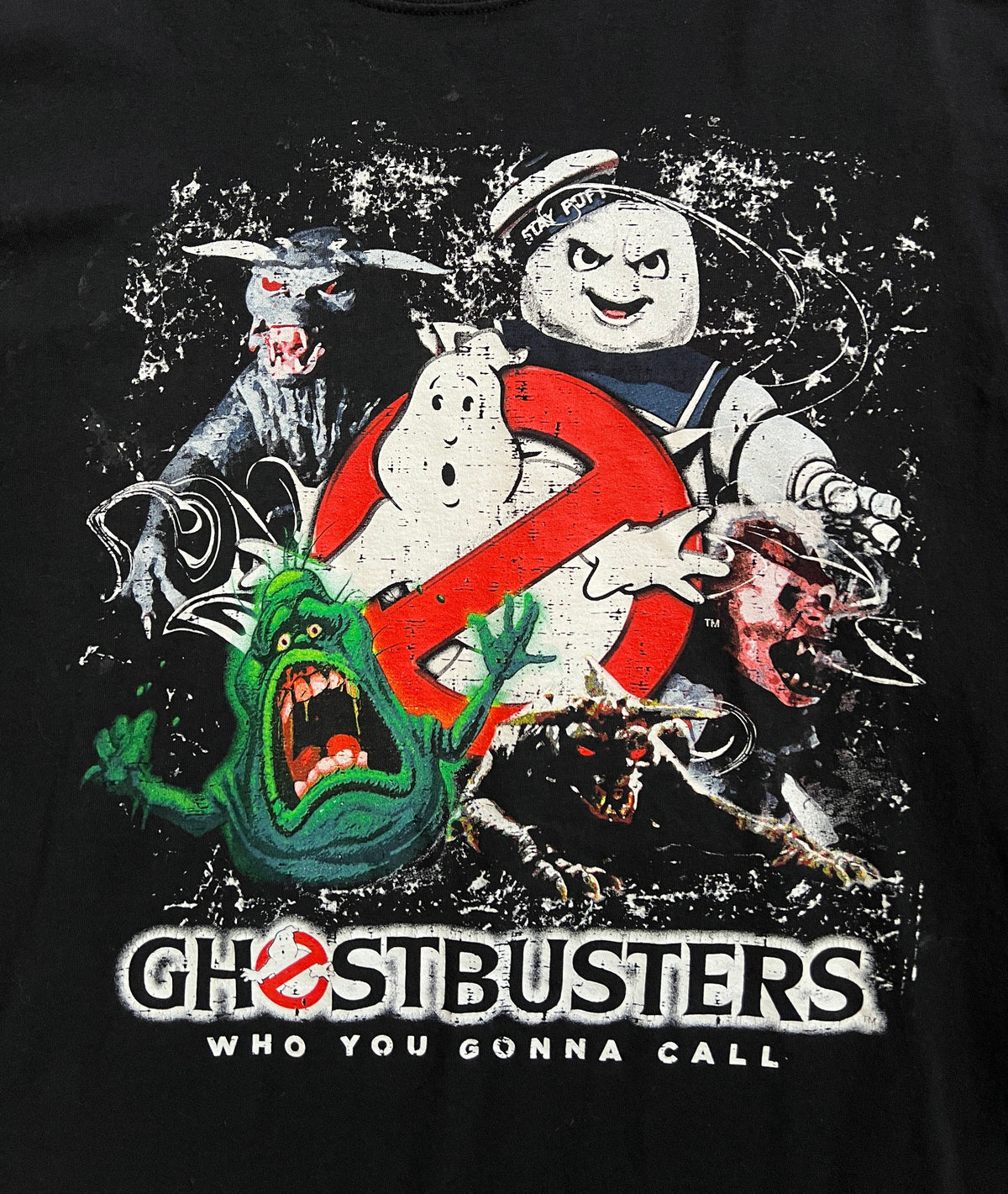 Ghostbusters ‘Who You Gonna Call’ Tee Shirt