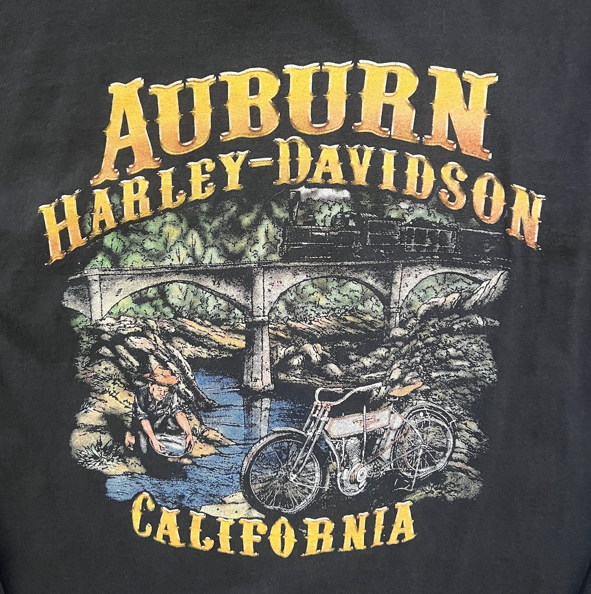 Harley Davidson Auburn Spider Web Long Sleeve Shirt