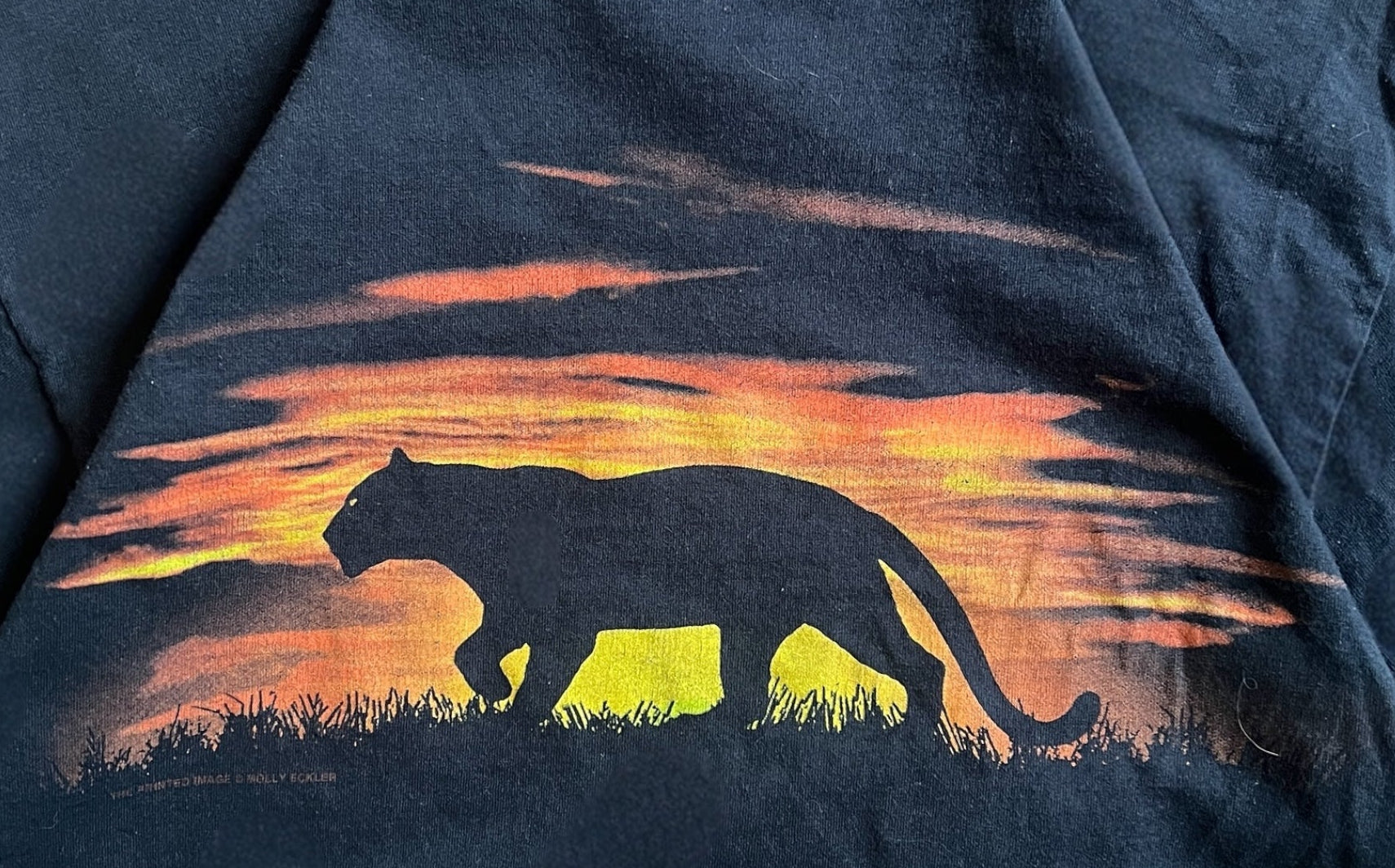 Scientific Center Black Jaguar Sunset Tee Shirt