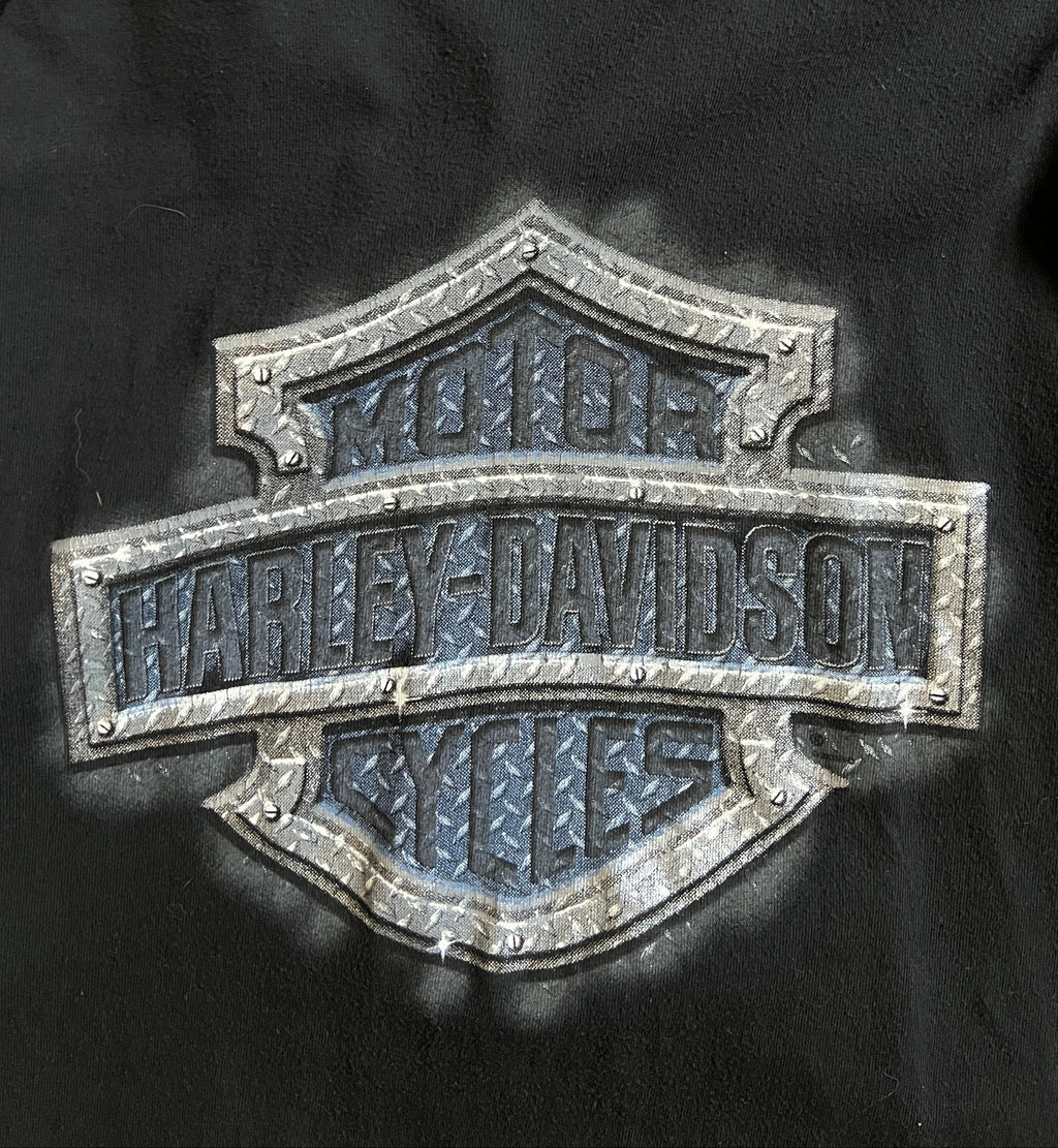Harley Davidson 1996 Bay City