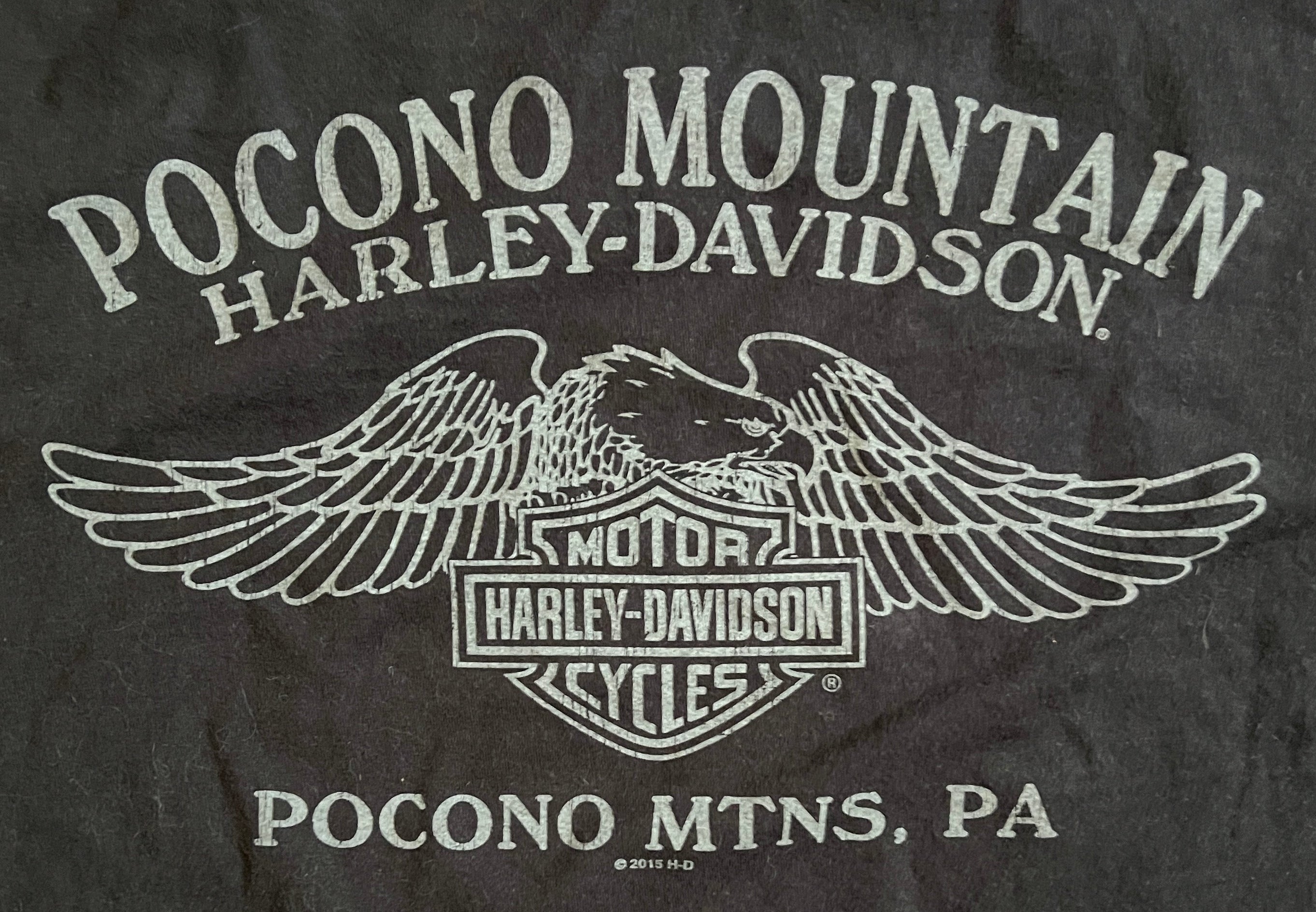 Harley Davidson 2015 No Rules Just Ride Tee Shirt