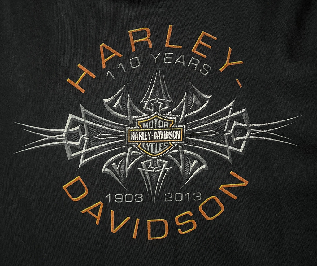 Harley Davidson 2013 T-Shirt