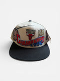 Chicago Bulls 1996 NBA Championships